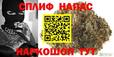ГАЛЛЮЦИНОГЕННЫЕ ГРИБЫ Коммунар